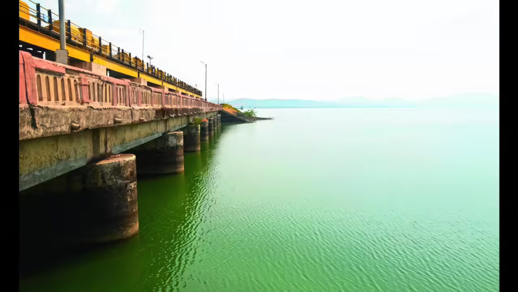 Maharashtra Dam Storage Drop Raises Supply Concerns