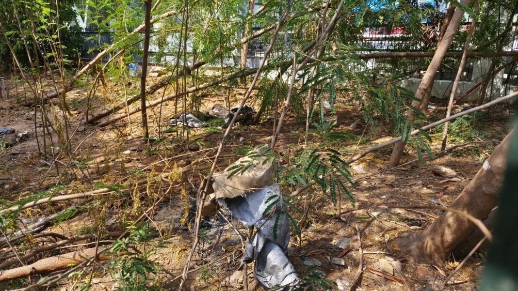 Chennai Reserve Forest Struggles With Urban Waste