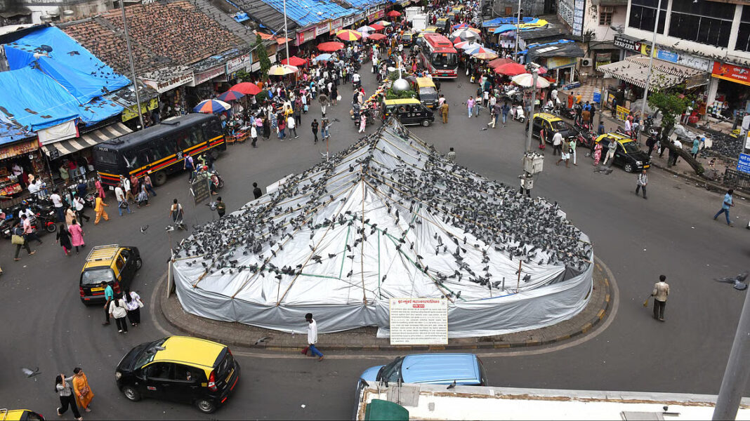 Mumbai Dadar Kabutar Khana Set For Greener Facelift