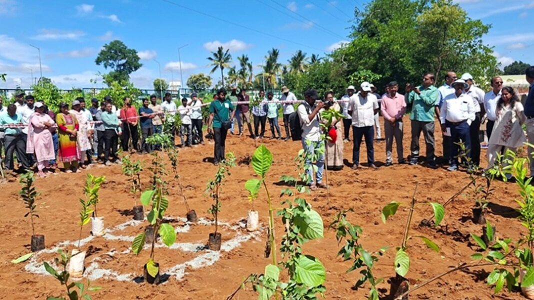 Bengaluru East Zone Plans 8300 New Saplings