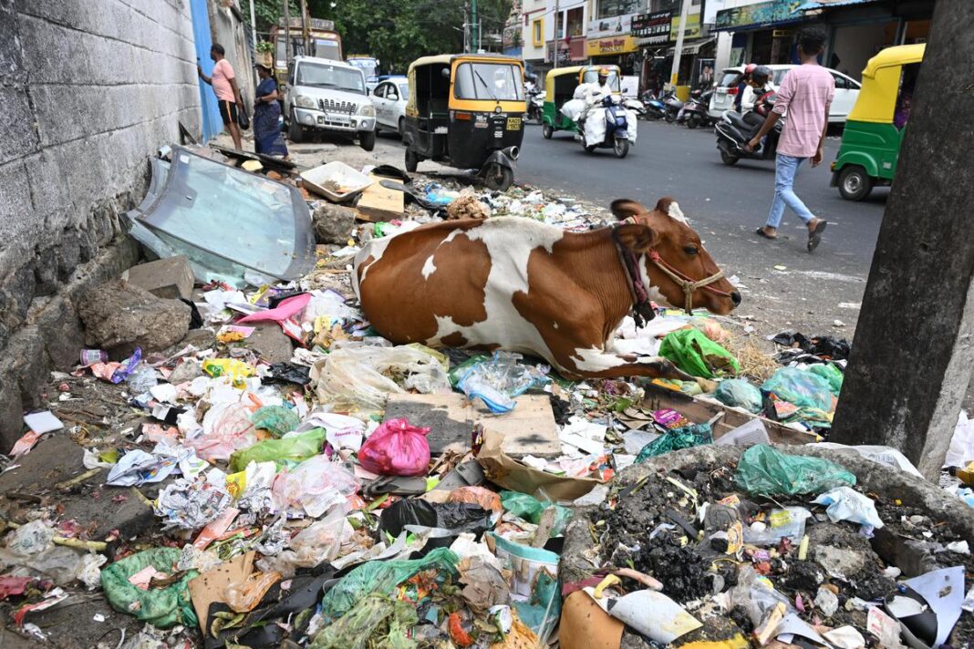 Bengaluru Sets August Deadline For Waste Clearance