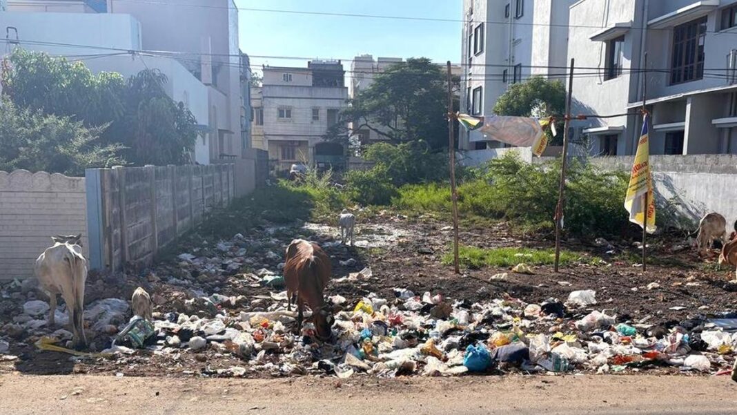 Bengaluru Vacant Plot Cleanup Moves Into Enforcement