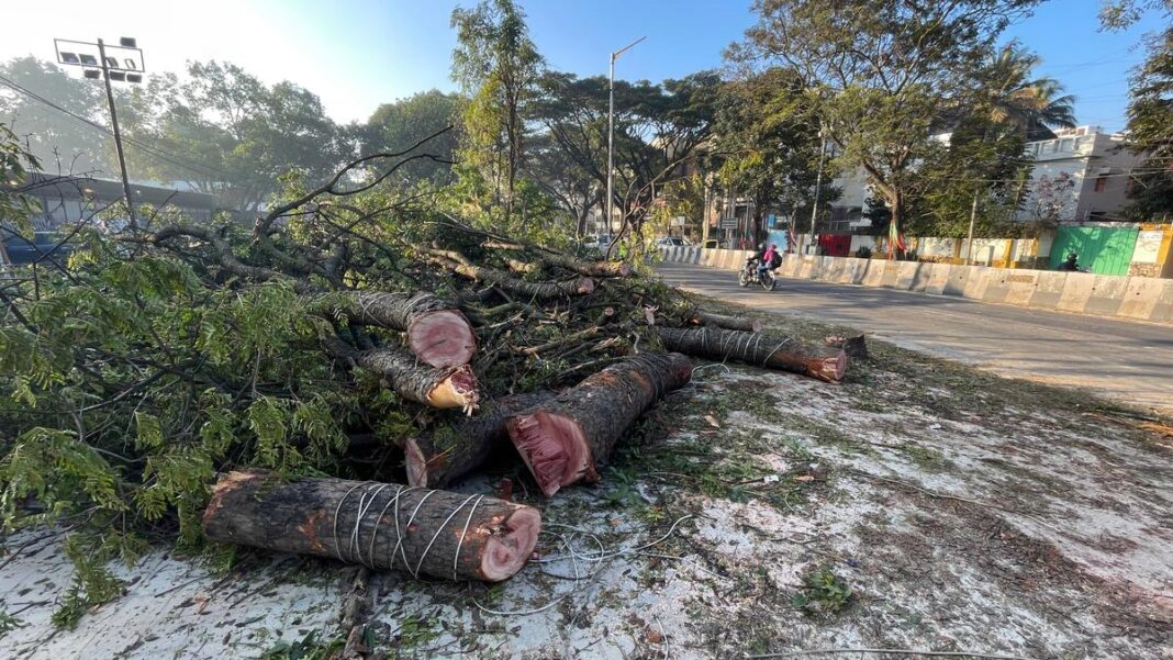 Bengaluru Tree Felling Applications Move Online