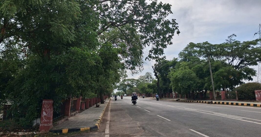 Mysuru Ring Road Tree Clearance Begins For Flyover