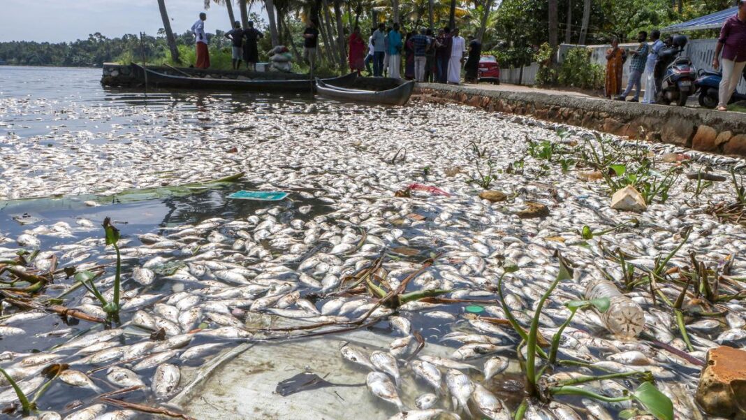 Mumbai Seeks Stronger Coastal Oversight As Pollution Grows