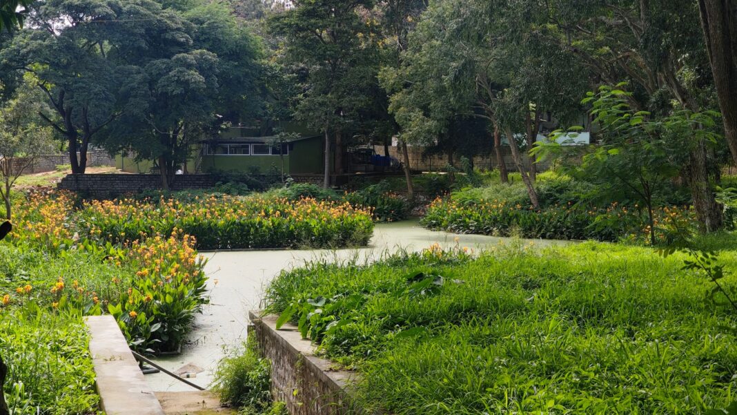 Bengaluru Residents Seek More Parks Across Neighbourhoods
