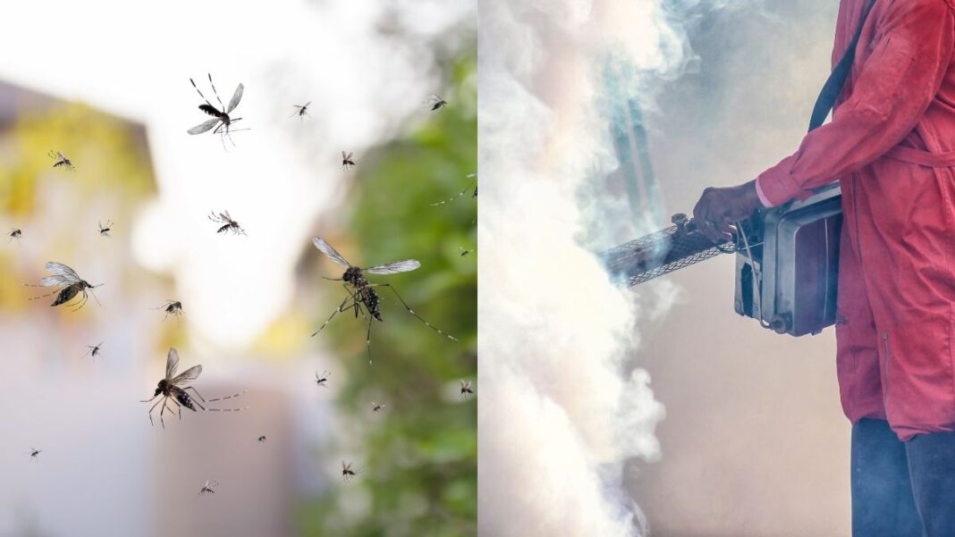 Bengaluru Intensifies Mosquito Control Across Central Zones