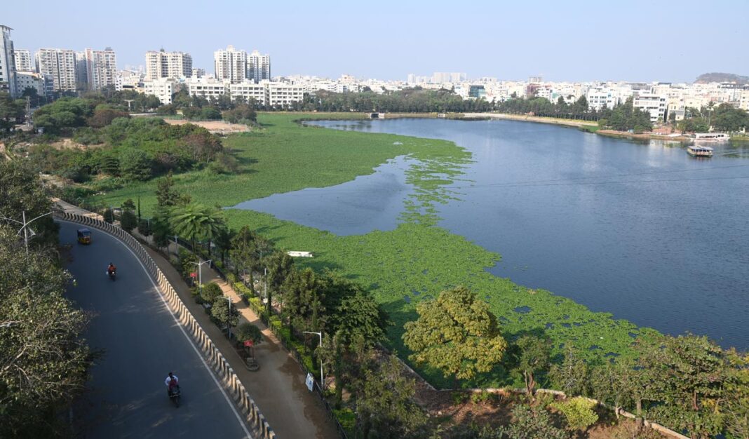 Hyderabad Durgam Cheruvu Pollution Raises Fresh Concerns