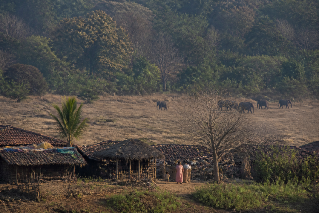 Forest-edge landscape near Hanur in Karnataka, illustrating the interface between villages and protected forest areas