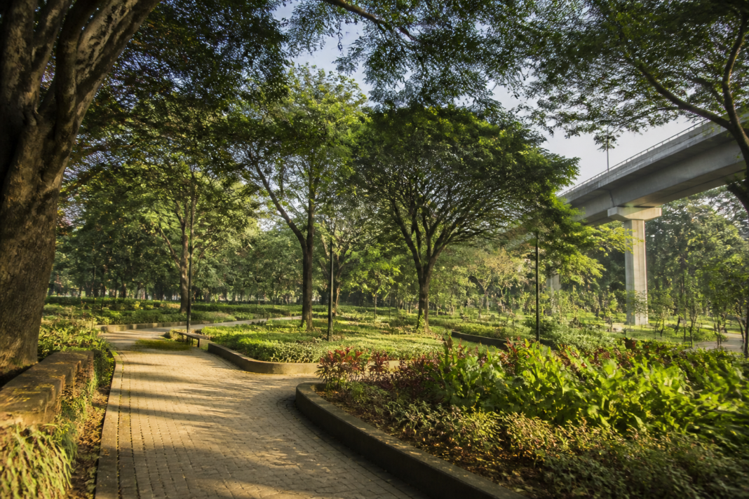 Public park greenery in Bengaluru, relevant to the withdrawn Karnataka Garden Bill
