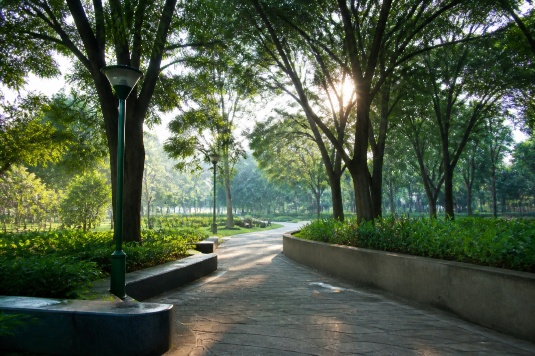 Karnataka Cabinet meeting linked to the withdrawal of the controversial parks bill