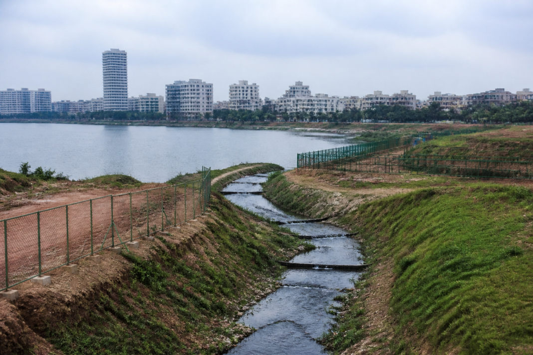 Bellandur Lake wetland and inlet restoration area in Bengaluru