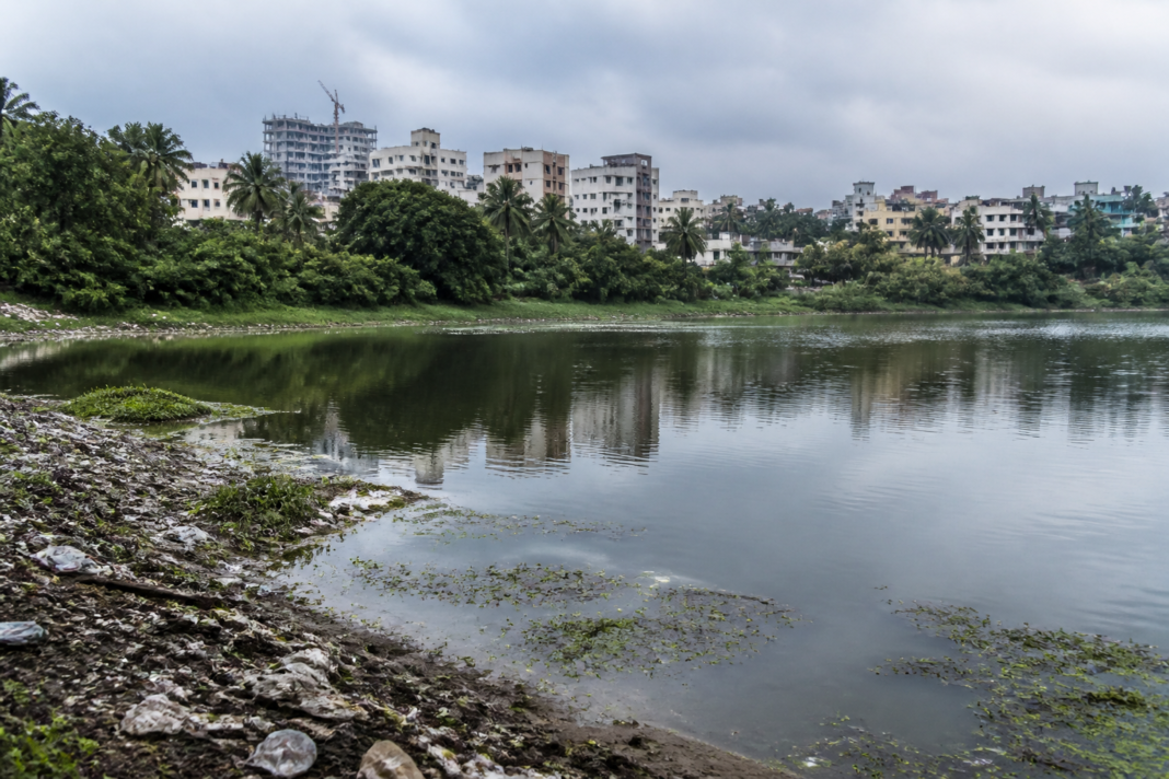Polluted urban lake in north Bengaluru bordered by dense development and vegetation