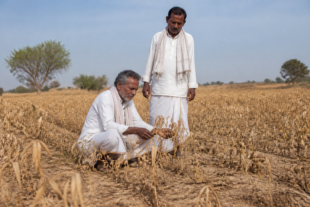 Karnataka farmers inspecting drought-affected agricultural fields after crop damage caused by a rainfall deficit