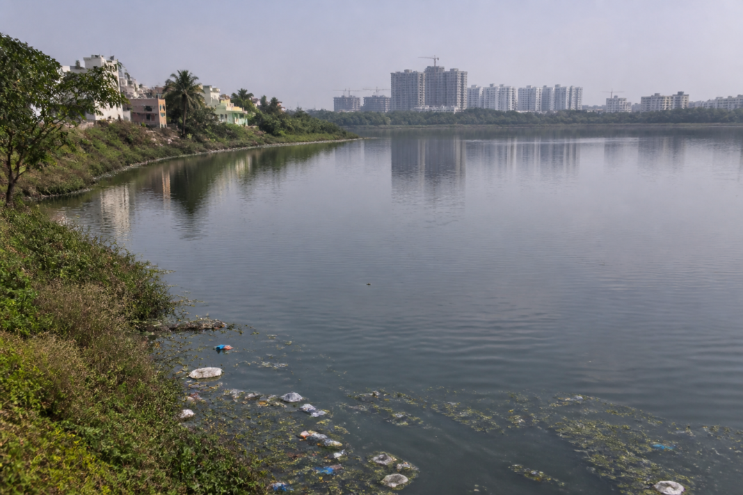 Polluted urban lake in north Bengaluru with murky water, waste accumulation and dense development along the shoreline