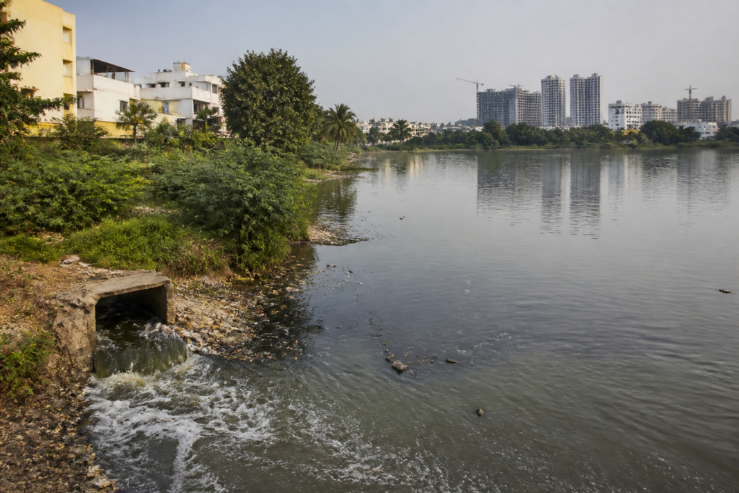 Polluted urban lake in north Bengaluru with murky water, accumulated waste and dense development along the shoreline
