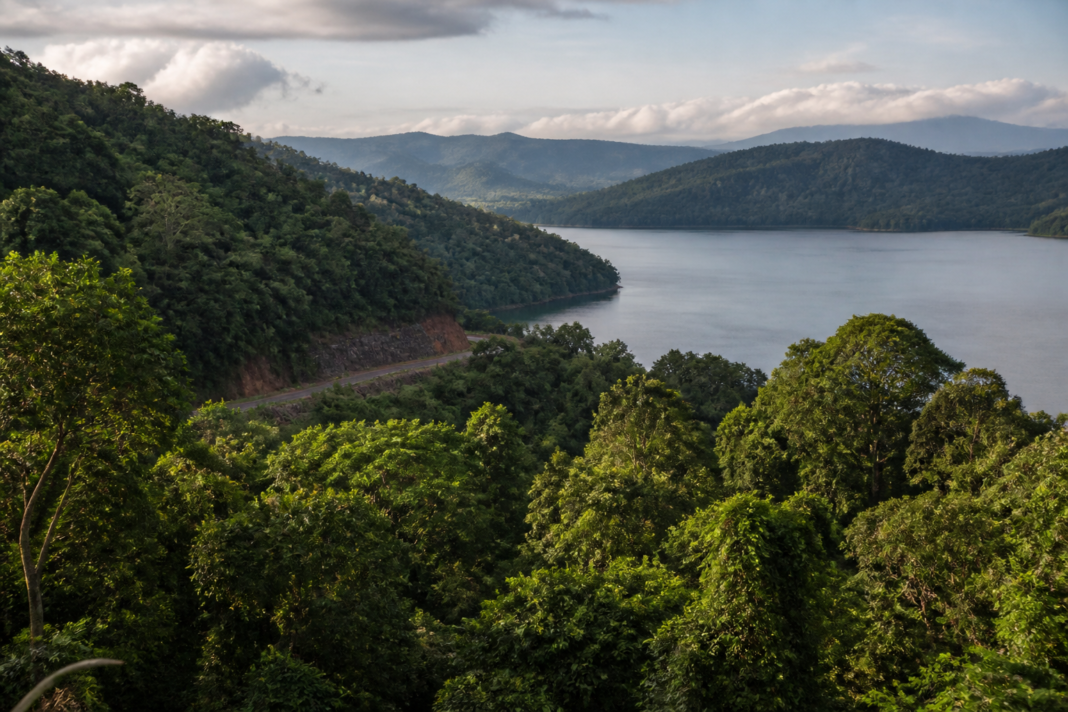 Forest landscape in the Sharavathi region linked to the proposed Sharavathi pumped storage project