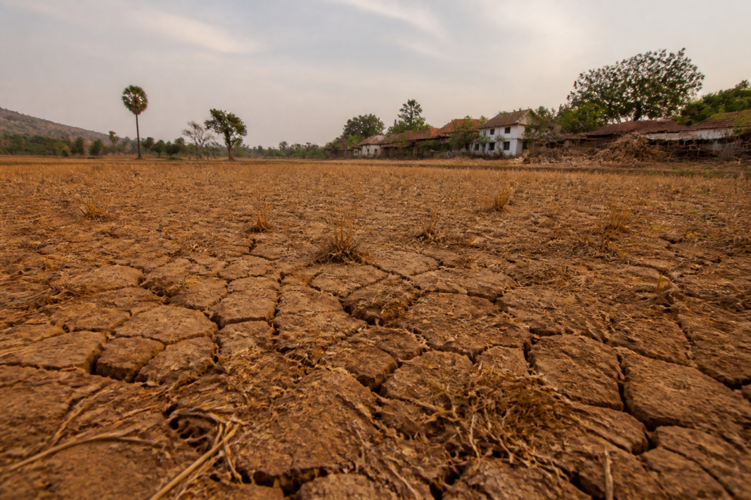 Karnataka drought-hit taluks facing dry agricultural conditions during the state's drought assessment