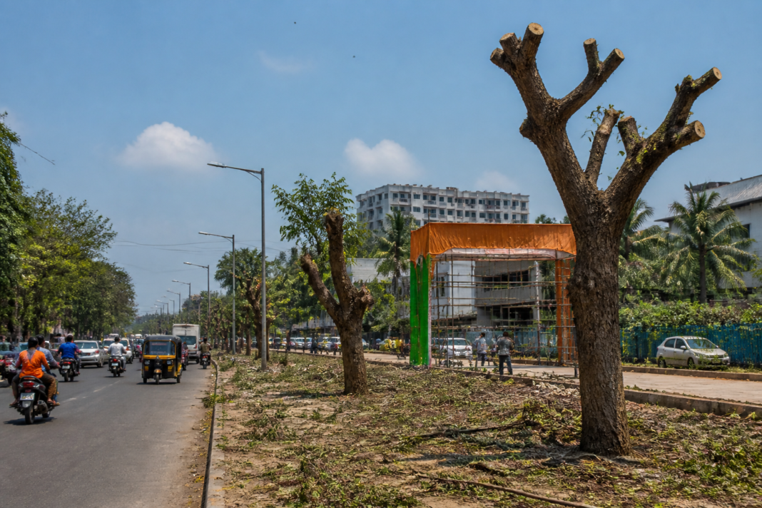 Roadside trees in Virar West undergoing municipal trimming ahead of Ganesh festival preparations