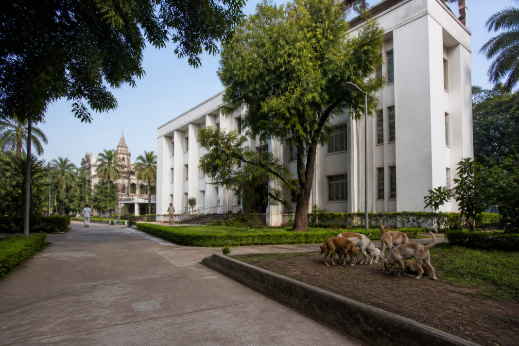 Mumbai University's Kalina campus, where access for outside volunteers feeding stray dogs has been restricted