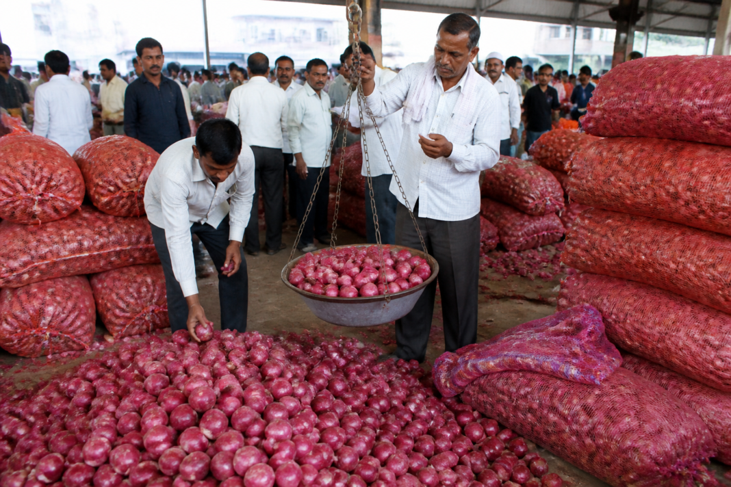 Onions displayed for sale at Pune's Market Yard amid rising Pune onion prices