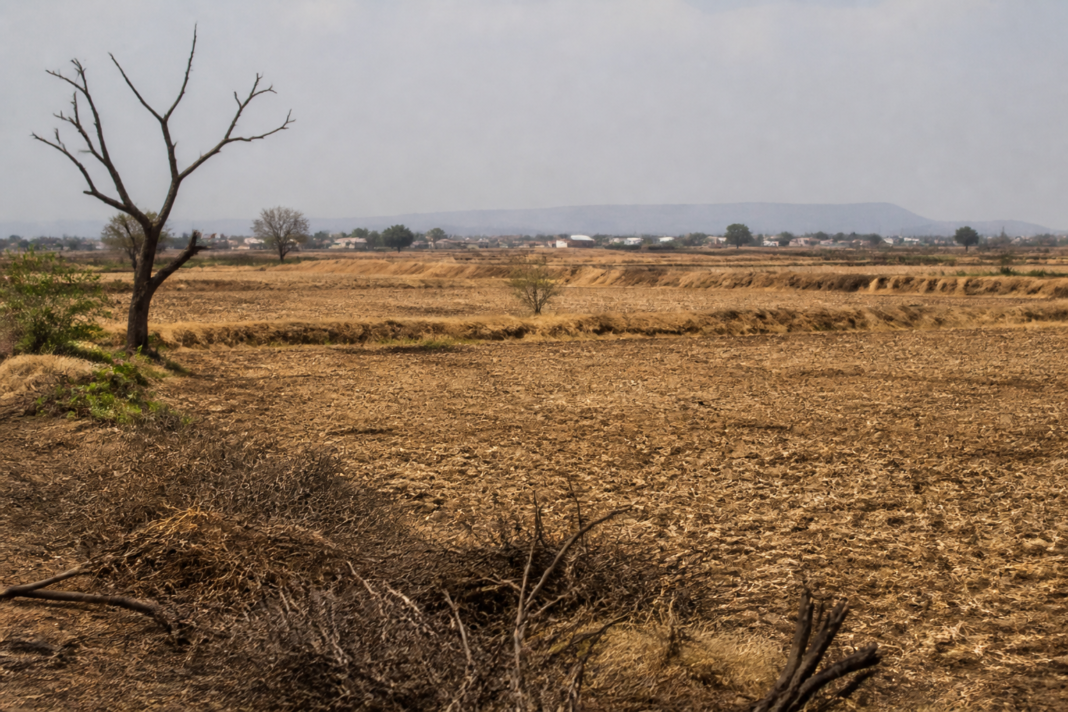 Dry agricultural fields in Karnataka representing the state's drought-hit taluks and relief assessment
