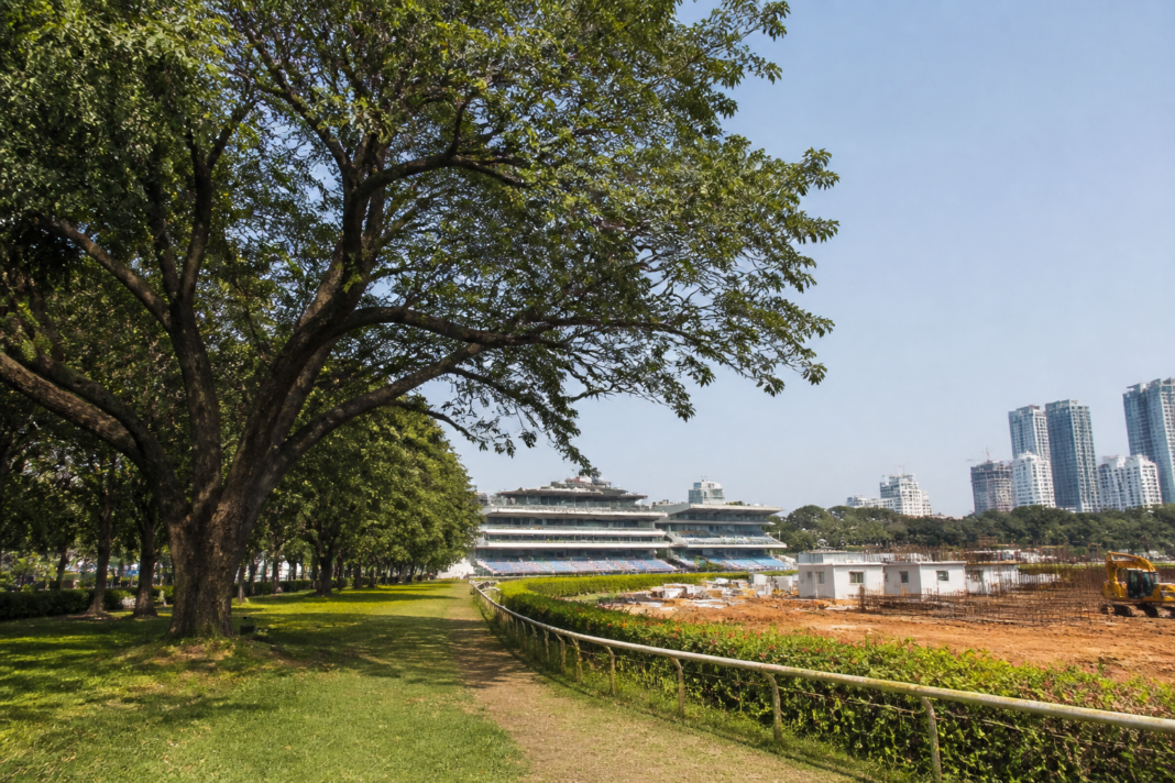 Trees and construction activity at Mumbai’s Mahalaxmi Racecourse, where BMC filed an NC over 10 missing trees