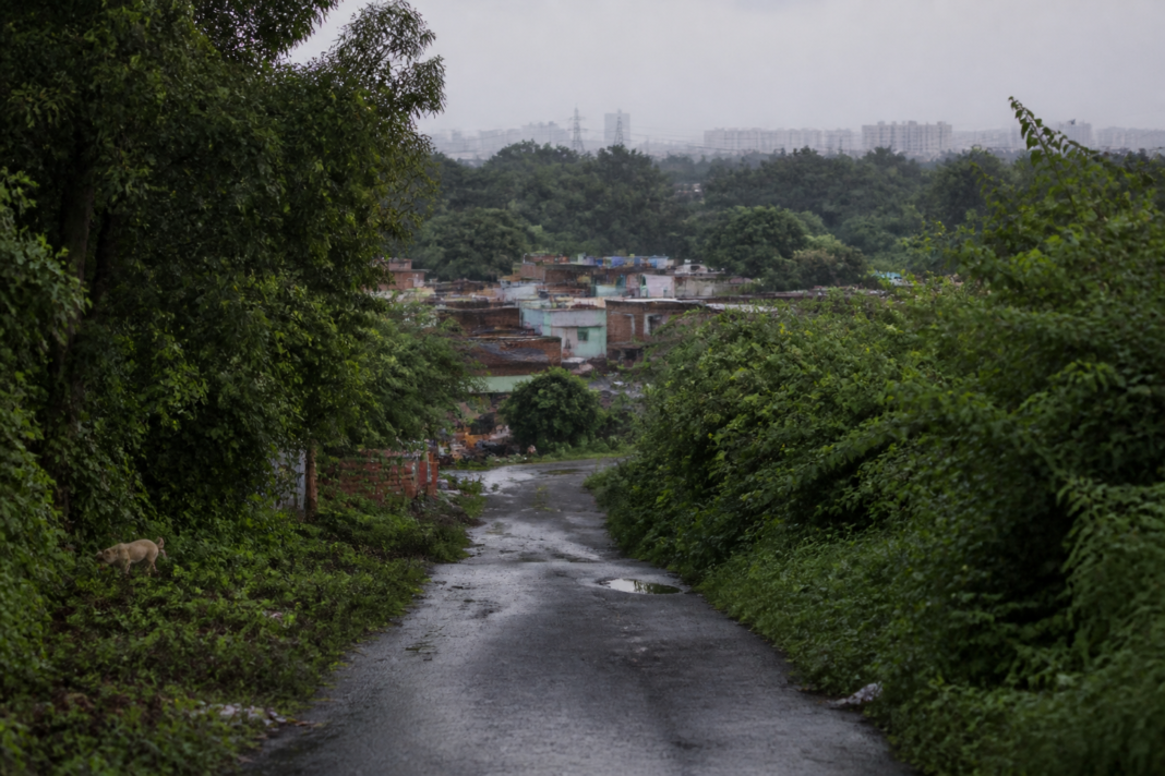 A narrow road leading through trees toward the Bela Estate jhuggi settlement near Delhi’s Yamuna floodplain