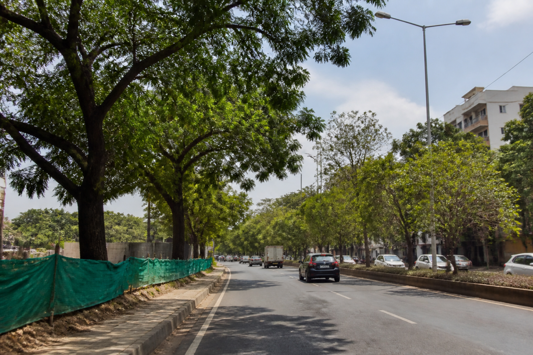 Tapovan area in Nashik linked to proposed Kumbh Mela infrastructure and tree-cutting plans