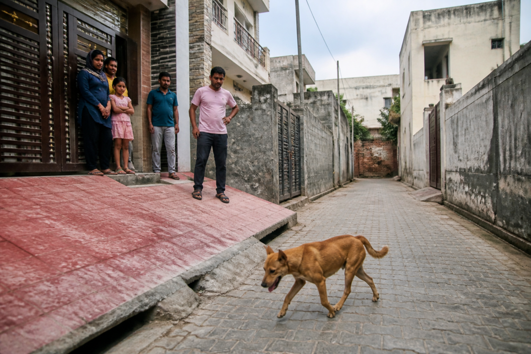 Faridabad stray dog attacks near a residential lane in Ballabhgarh, with children and residents nearby
