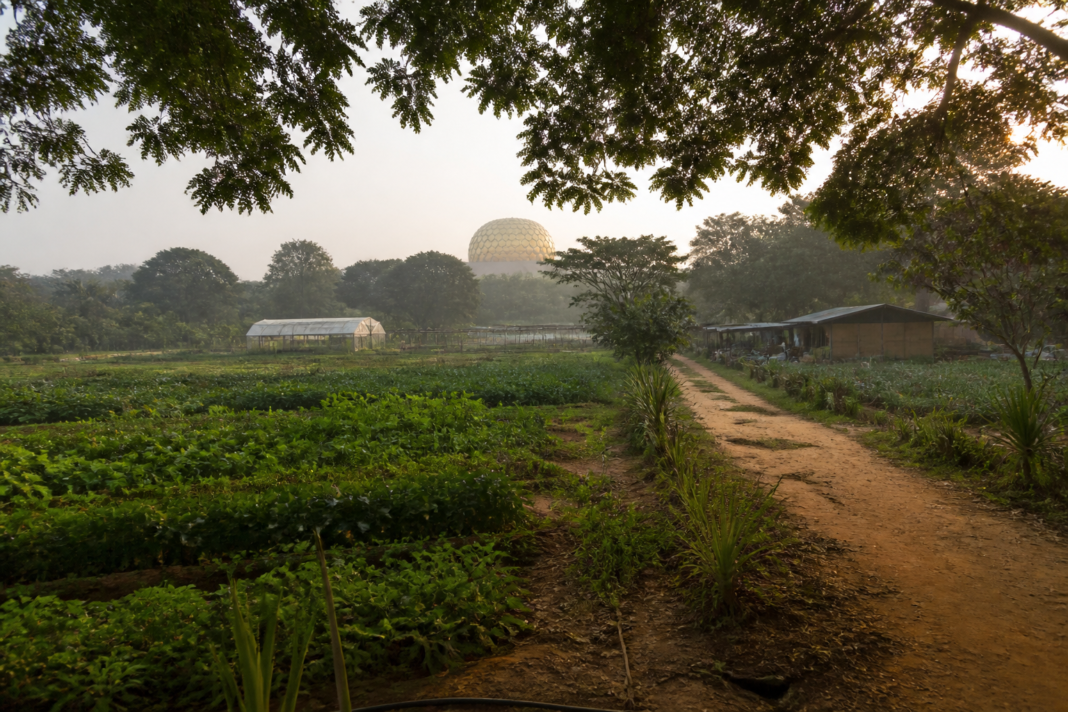 Annapurna Farms in Auroville, central to an eviction dispute over a proposed sustainability campus