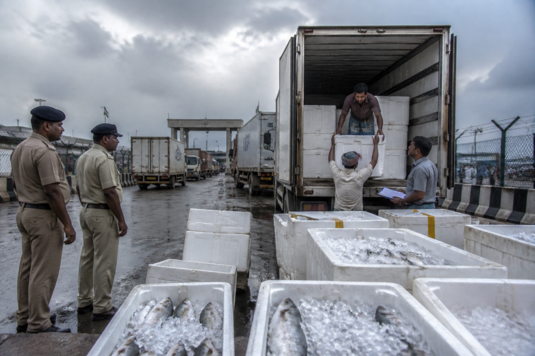 India Bangladesh hilsa trade moving through the Petrapole land port