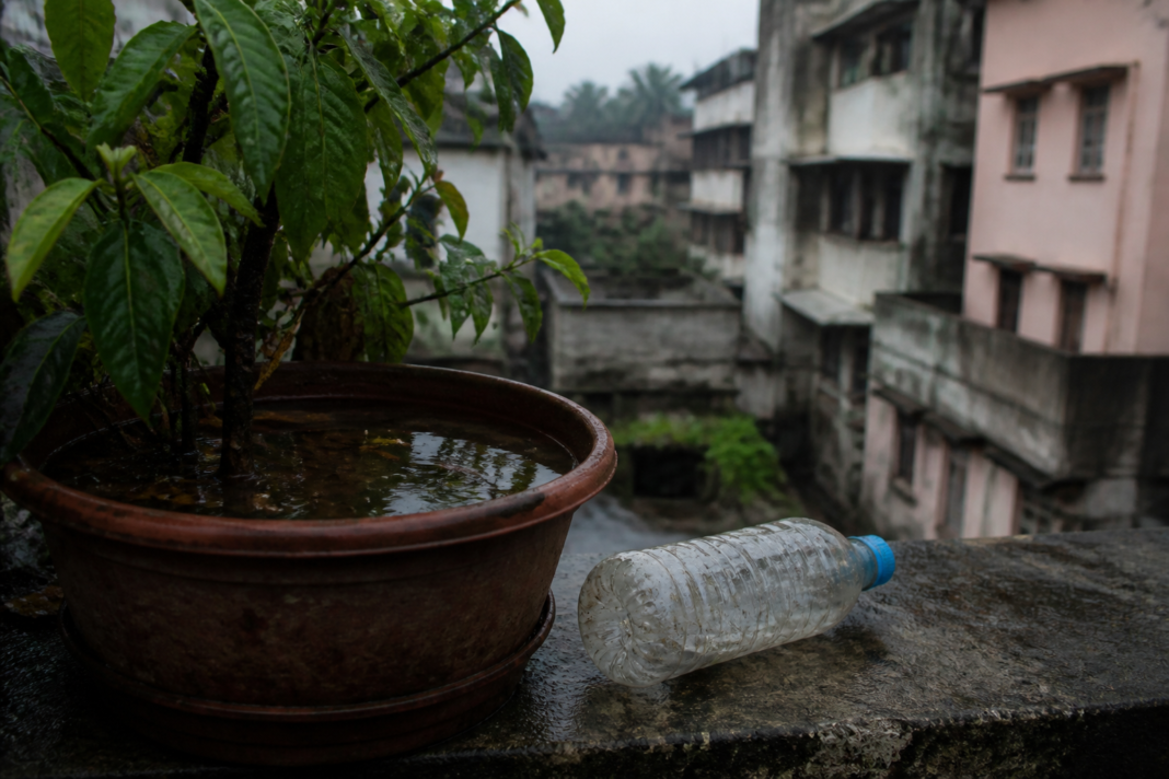 Dengue risk from stagnant water in a Kolkata residential neighbourhood