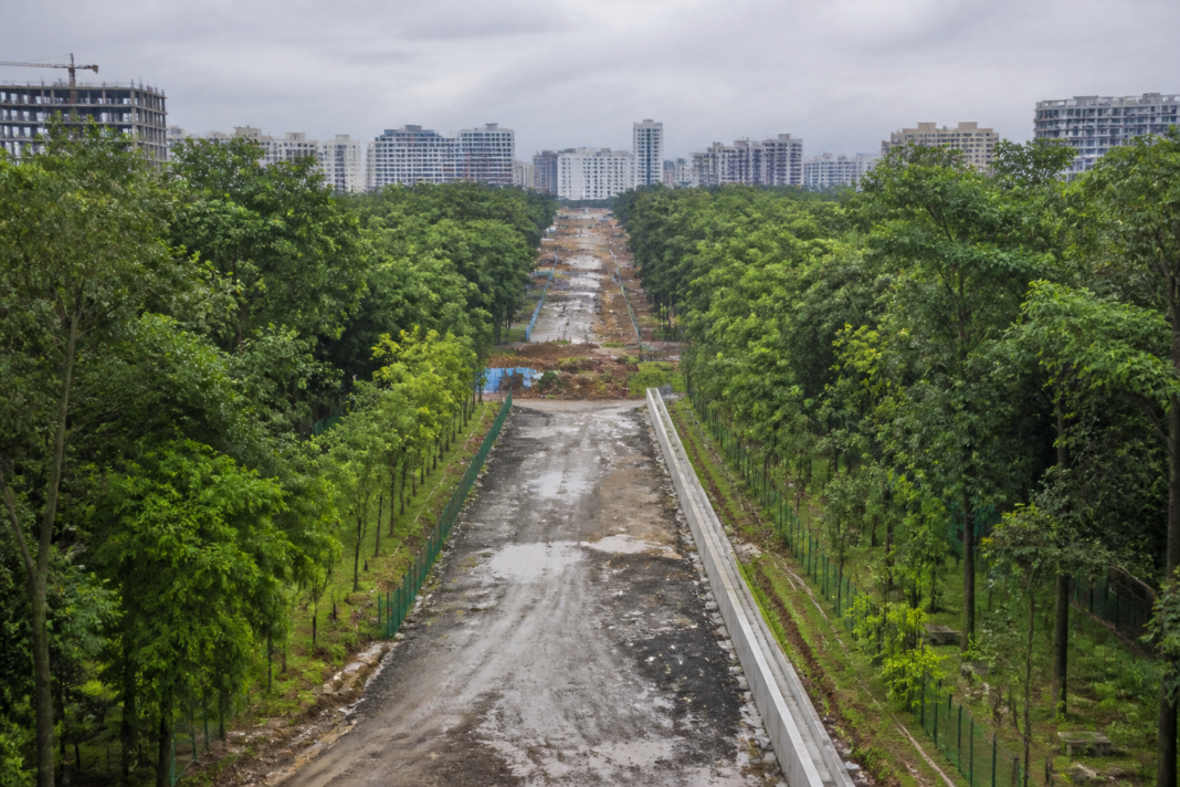 Panathur CDP Road cutting through Bengaluru’s urban forest near Gunjur