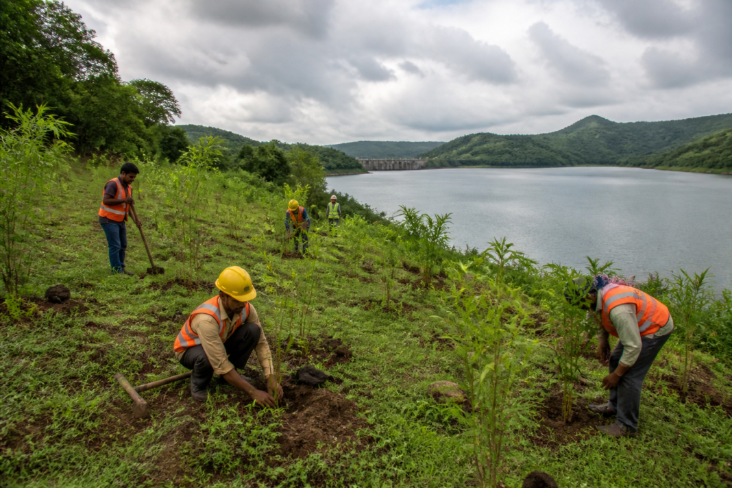 Morbe Dam bamboo plantation site planned by Navi Mumbai civic body
