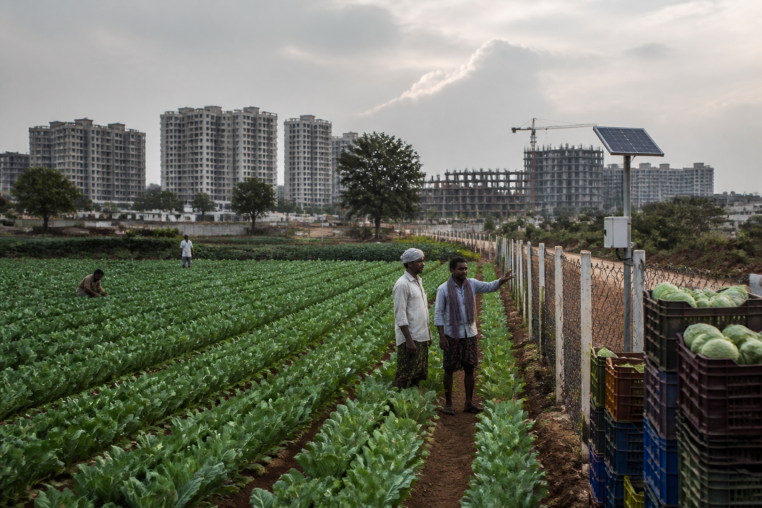 Telangana crop diversification fields near expanding peri-urban development