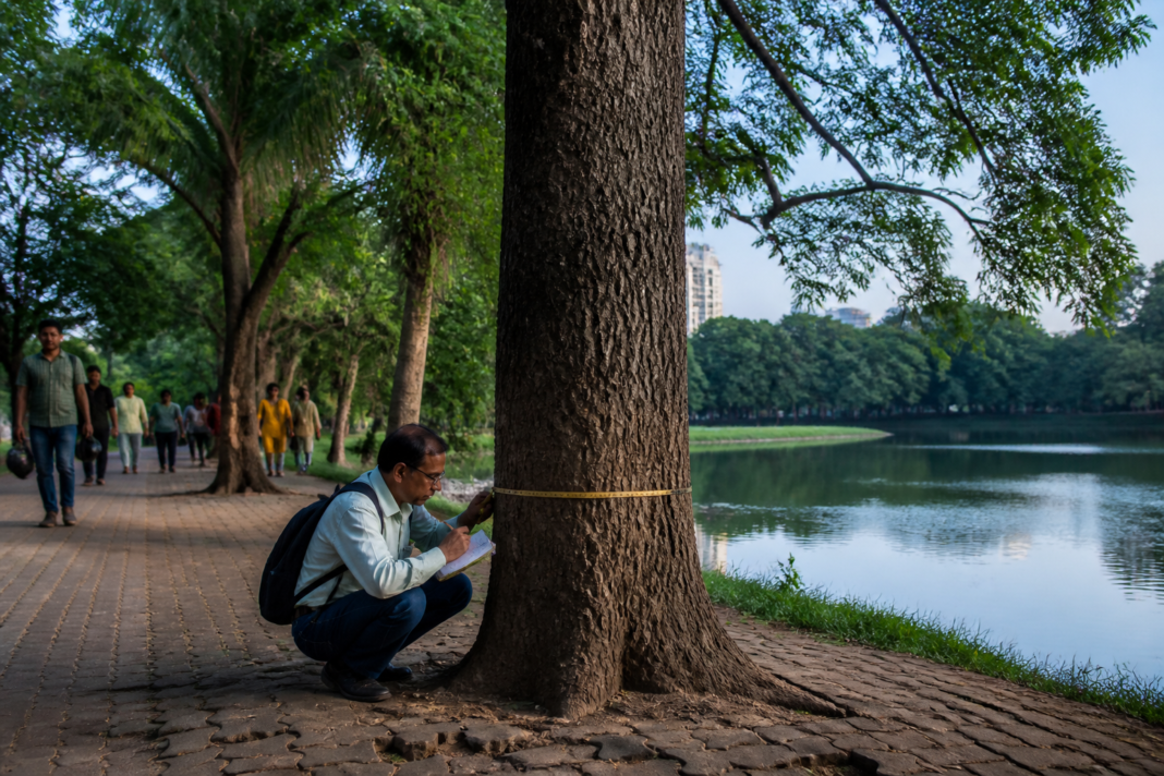 Rabindra Sarobar tree audit area with mature trees and a lakeside walkway in Kolkata