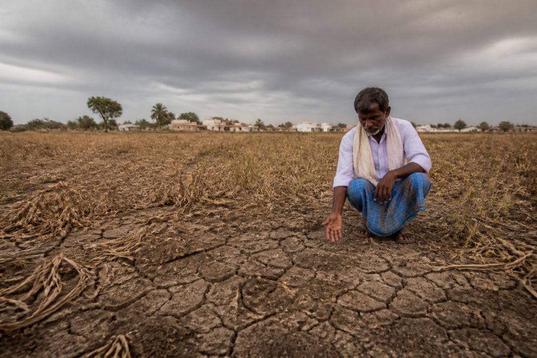 Karnataka drought conditions affecting a dry agricultural landscape