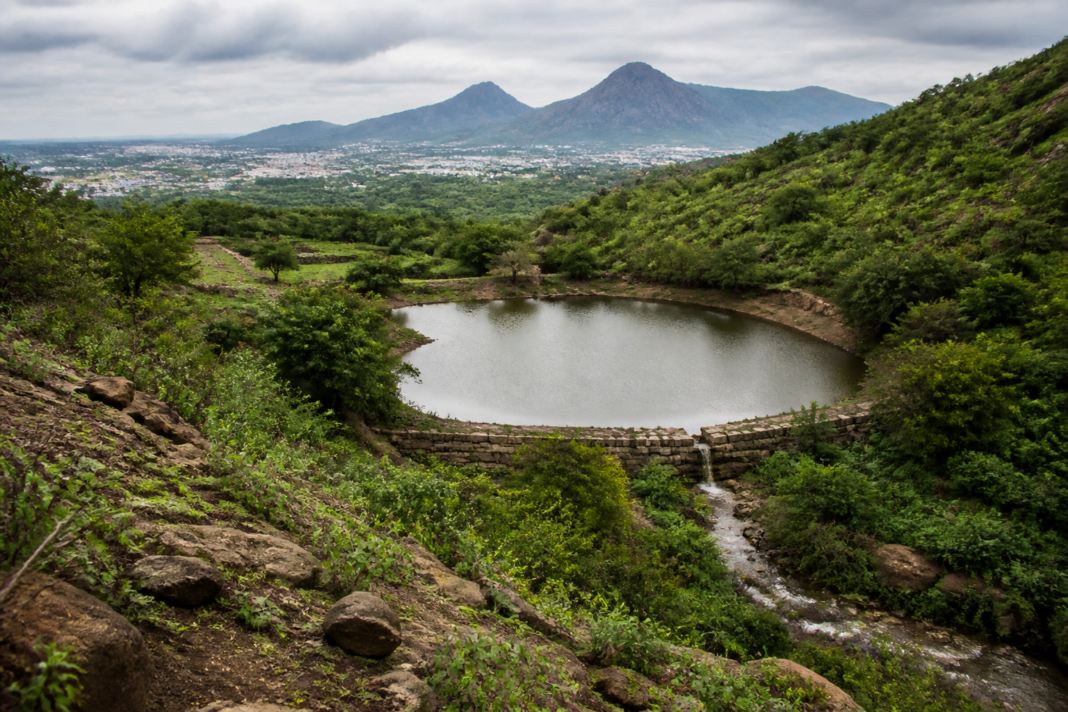 Tiruvannamalai hills restoration with native vegetation, slopes and a rain-fed pond near the temple town.