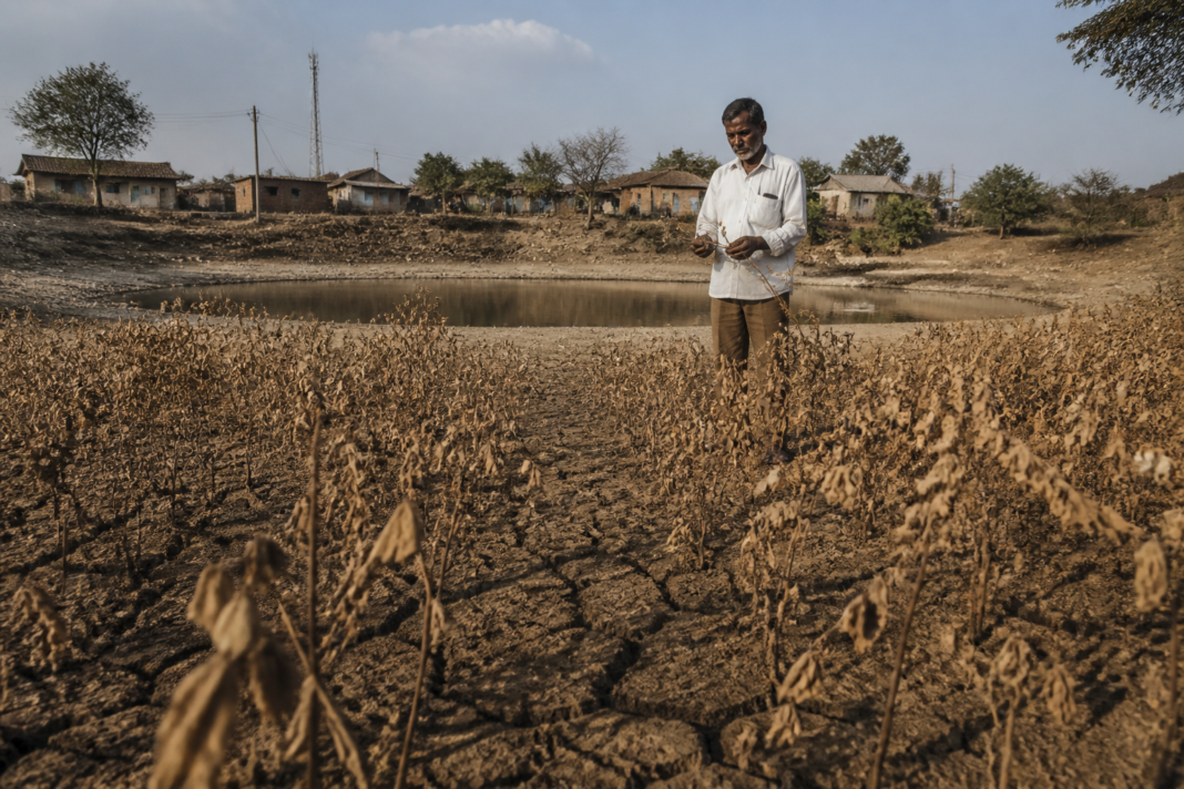Maharashtra drought conditions affecting farmland and rural water availability