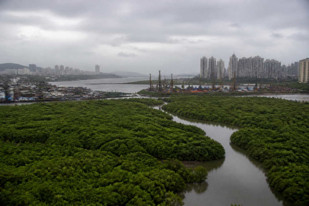 Mumbai cable-stayed bridge project area across Malad Creek with mangroves in the foreground