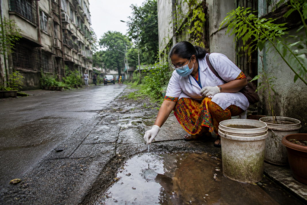 Dengue cases in West Bengal linked to stagnant rainwater in a Kolkata neighbourhood