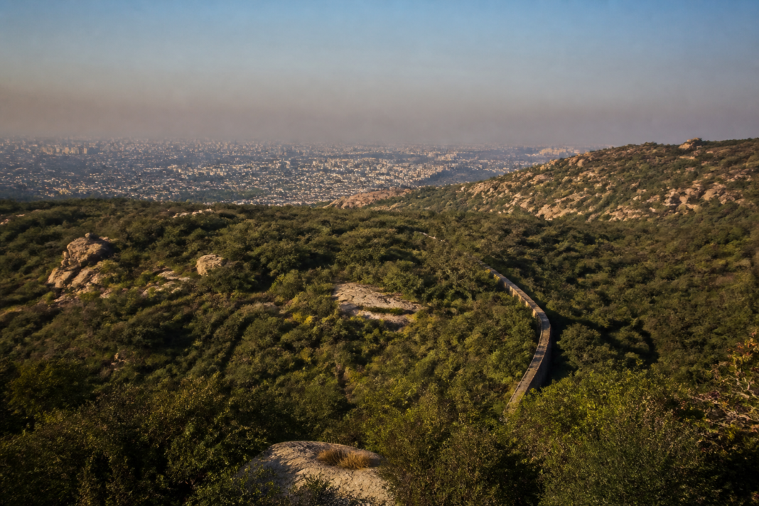 Delhi Ridge reserved forest landscape with native vegetation and urban development in the distance.