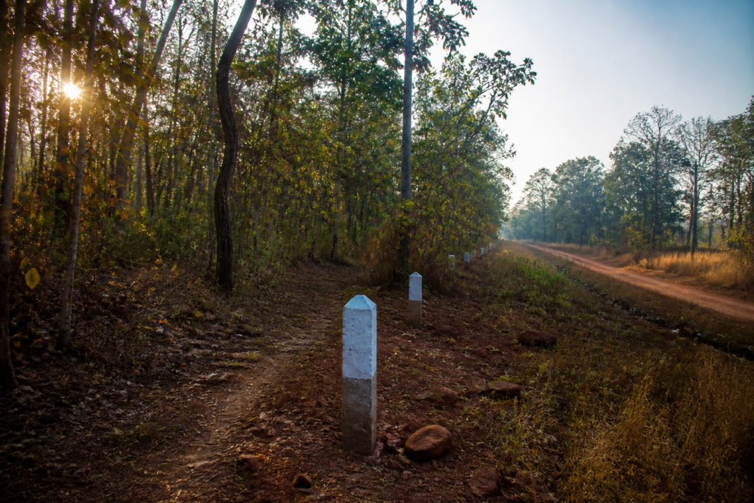 Telangana forest land near Kagaznagar under legal and administrative scrutiny