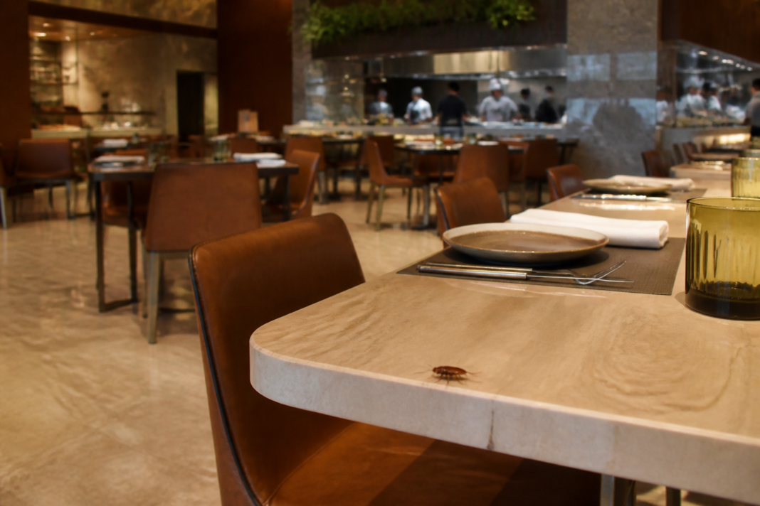Mumbai hotel food safety complaint involving a restaurant dining table