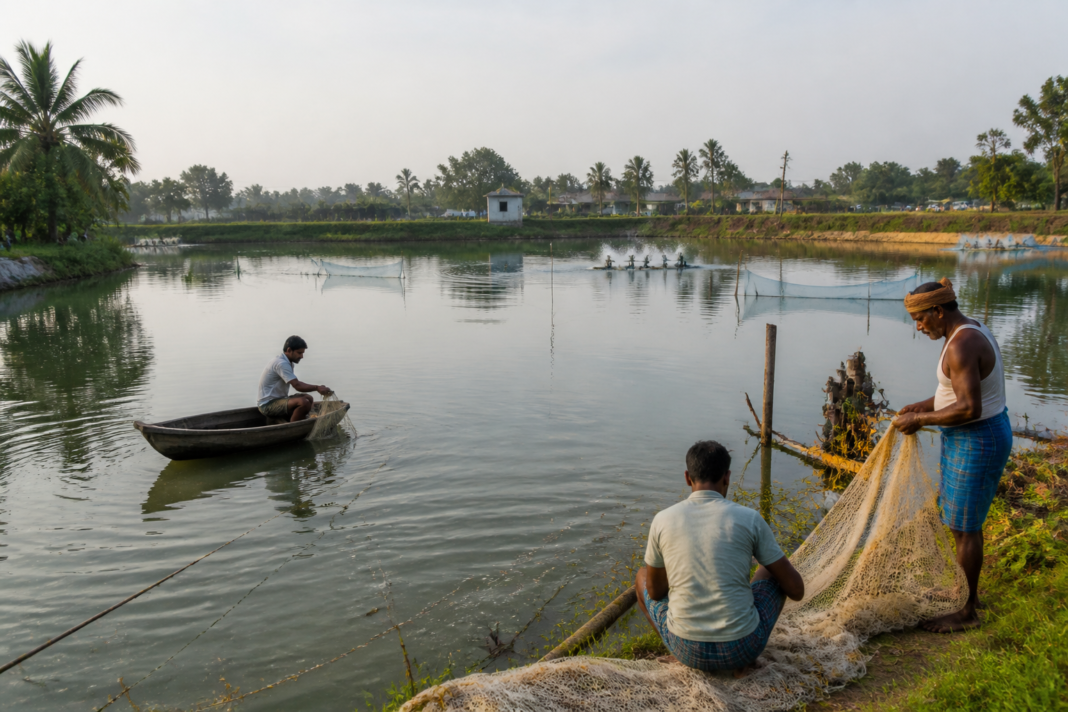 West Bengal fisheries project supporting fish farming and water infrastructure in rural districts