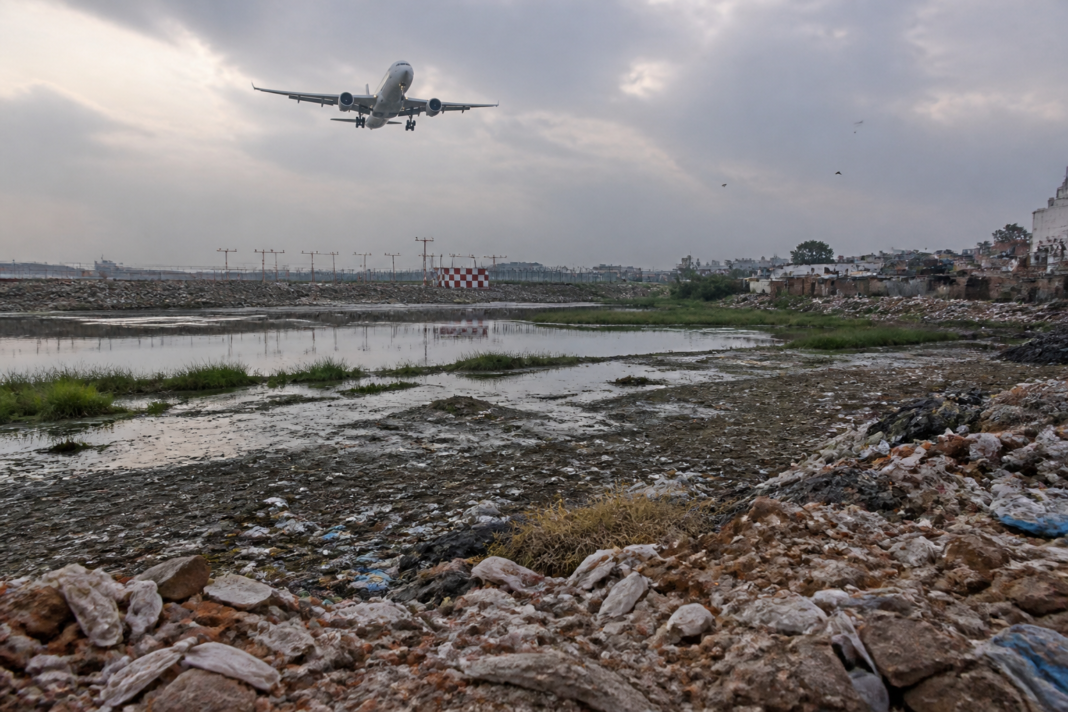 Delhi airport bird strikes linked to waste and stagnant water near aircraft approach paths