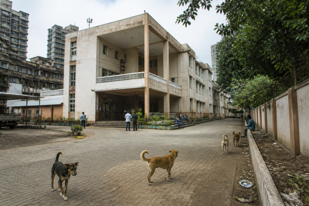 Navi Mumbai veterinary hospital building in Juinagar facing reported facility shortages