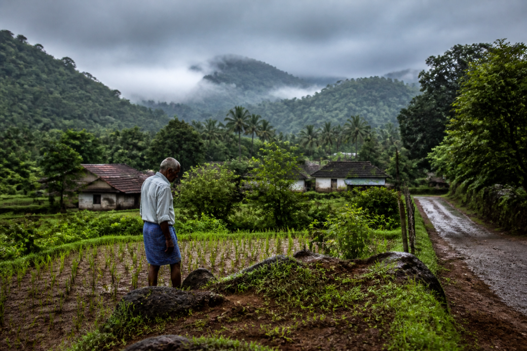 Kasturirangan report and Western Ghats farmers near a forested Karnataka landscape