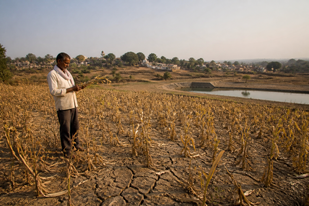 Maharashtra drought relief plans discussed after widespread crop losses and water shortages